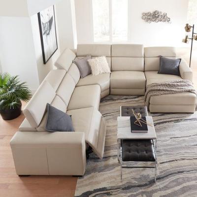 Sectional Sofa Furniture